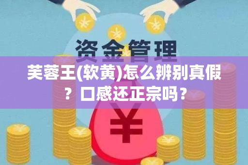 芙蓉王(软黄)怎么辨别真假？口感还正宗吗？